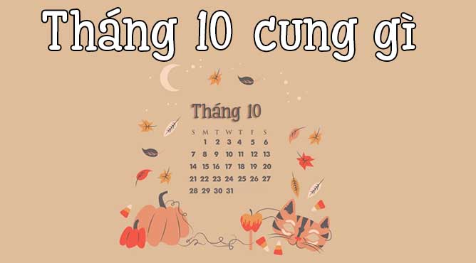 sinh vào tháng 10 là thuộc cung gì