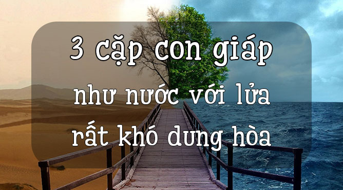 3 cặp con giáp như nước với lửa