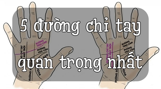 5 đường chỉ tay quan trọng nhất