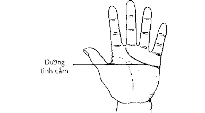 đường chỉ tay tình duyên