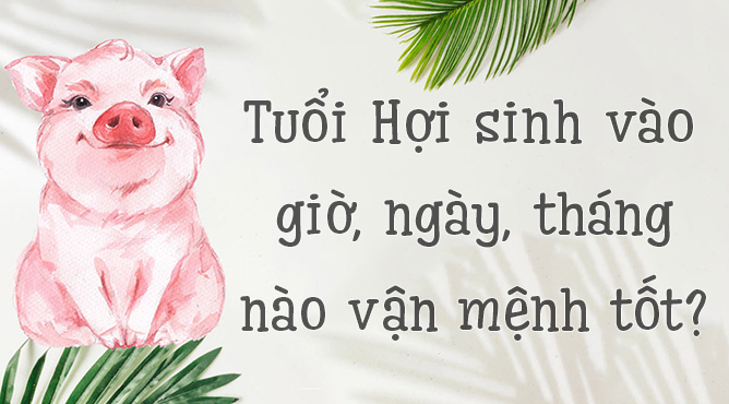 tuổi Hợi sinh vào giờ, ngày, tháng nào thì tốt