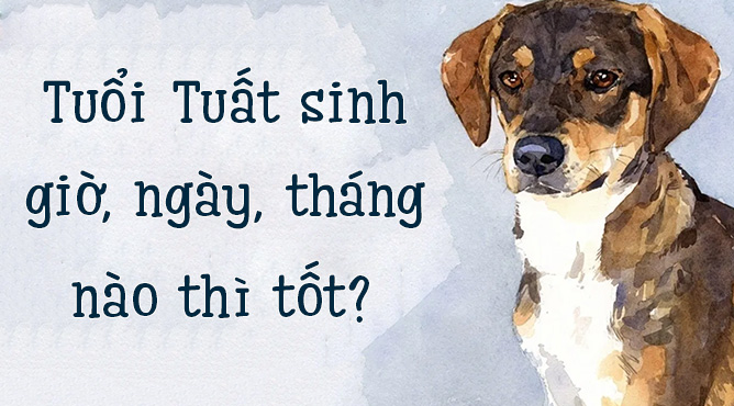 tuổi tuất sinh vào giờ ngày tháng nào thì tốt