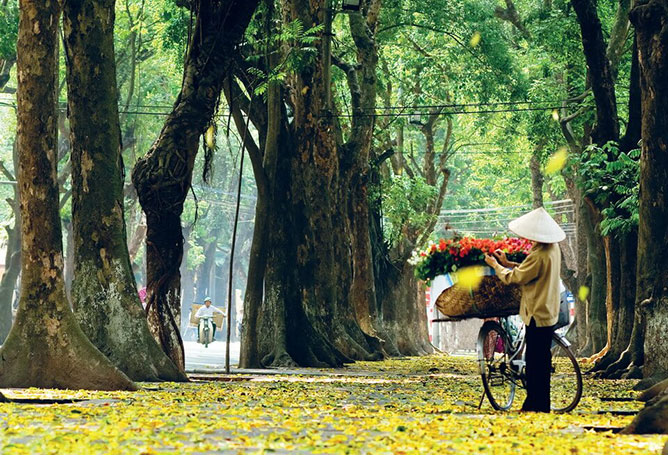 mùa thu Hà Nội